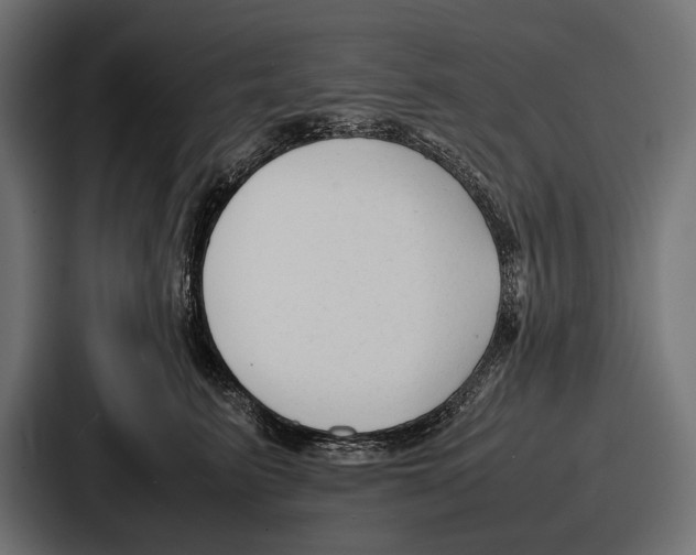 X0000086720615200705111556