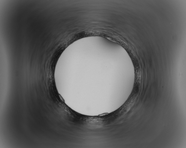 X0000086720617200705111556