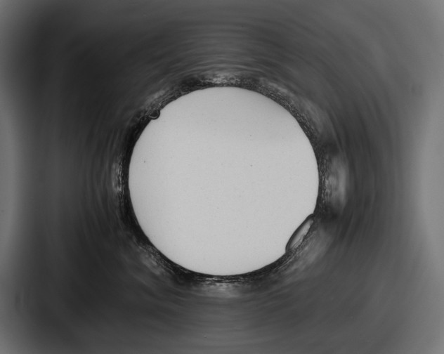 X0000086720620200705111556