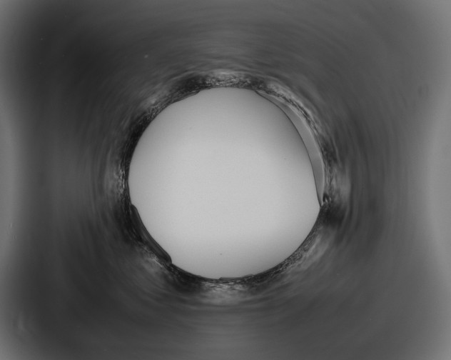 X0000086720621200705111556