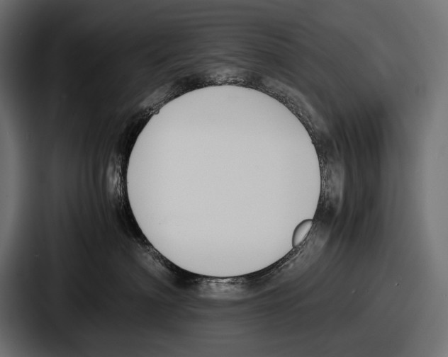 X0000086720622200705111556