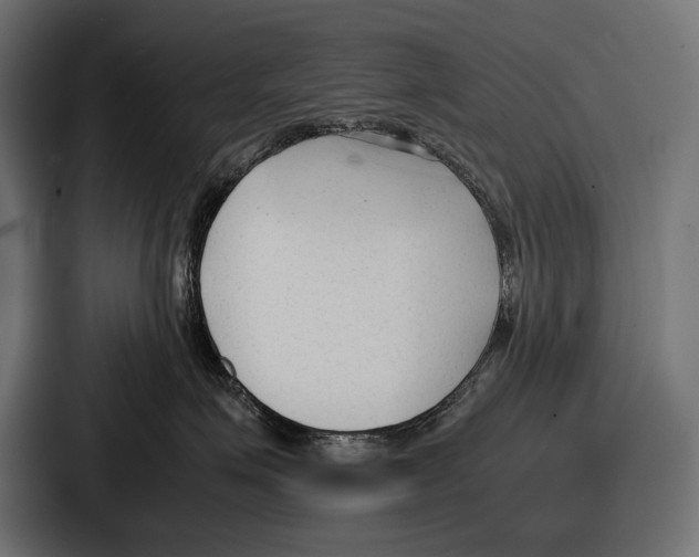 X0000086720623200705111556