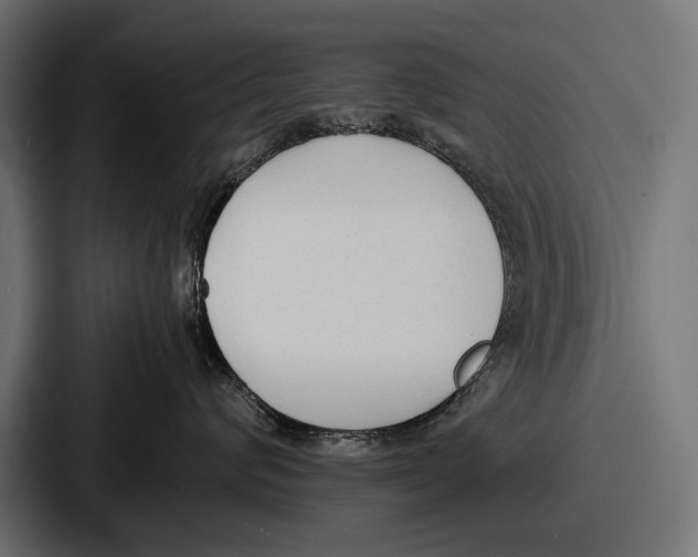 X0000086720624200705111556