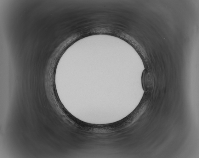 X0000086720625200705111555