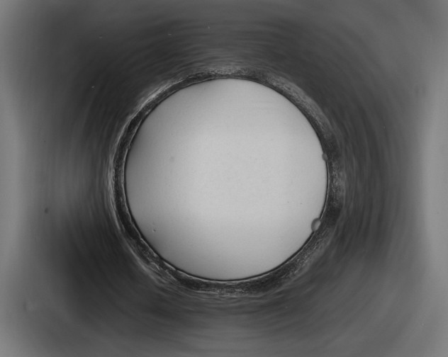 X0000086720626200705111555