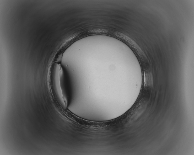 X0000086720627200705111555