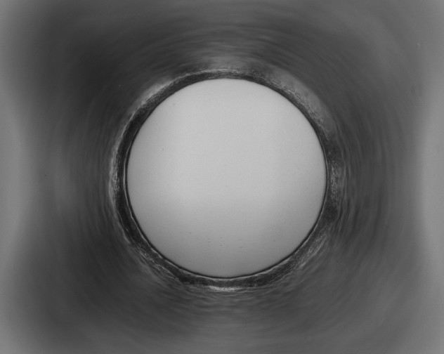 X0000086720628200705111555