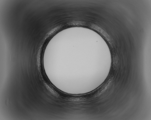 X0000086720629200705111555