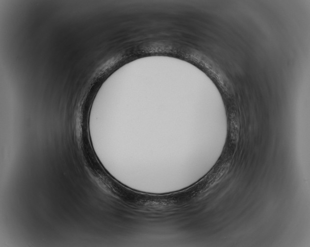 X0000086720631200705111555