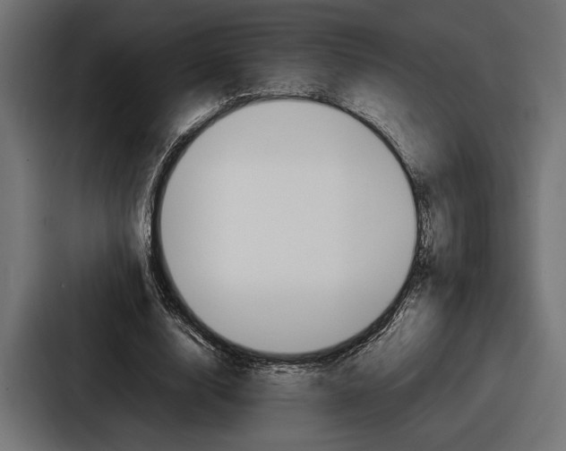 X0000086720632200705111555