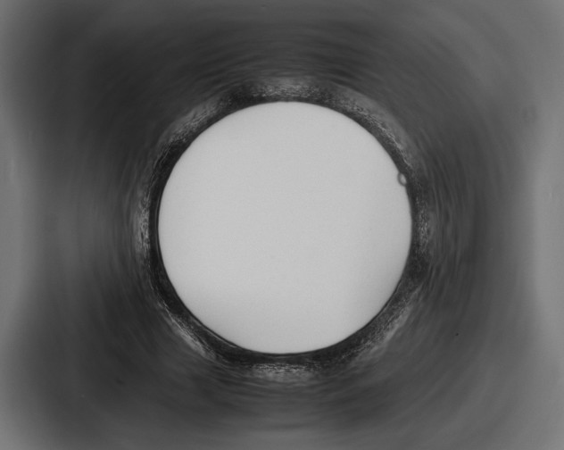 X0000086720633200705111555