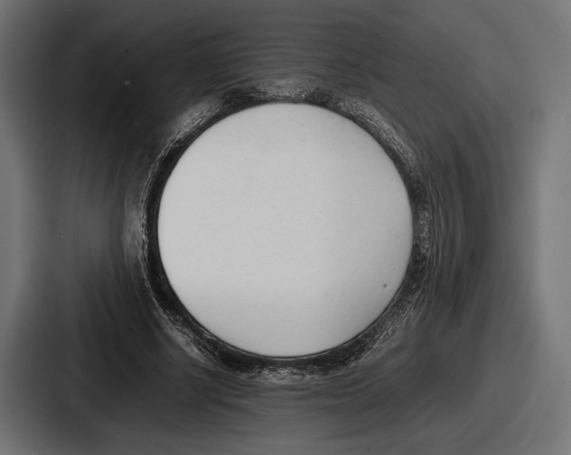 X0000086720634200705111555