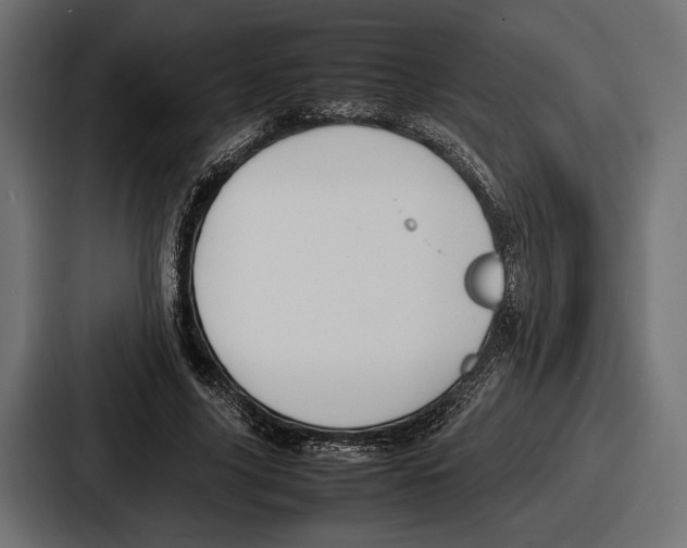 X0000086720635200705111556