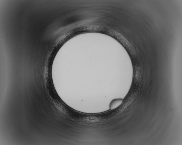 X0000086720636200705111556