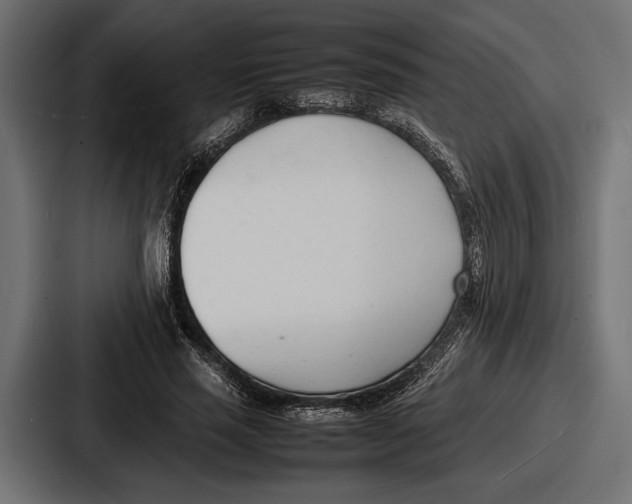 X0000086720637200705111556