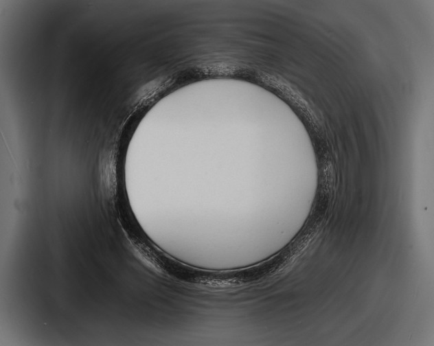 X0000086720638200705111556