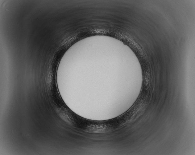 X0000086720639200705111556