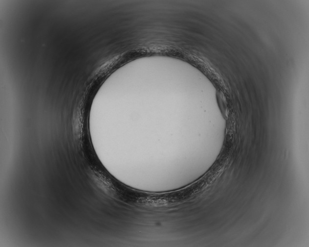 X0000086720640200705111556