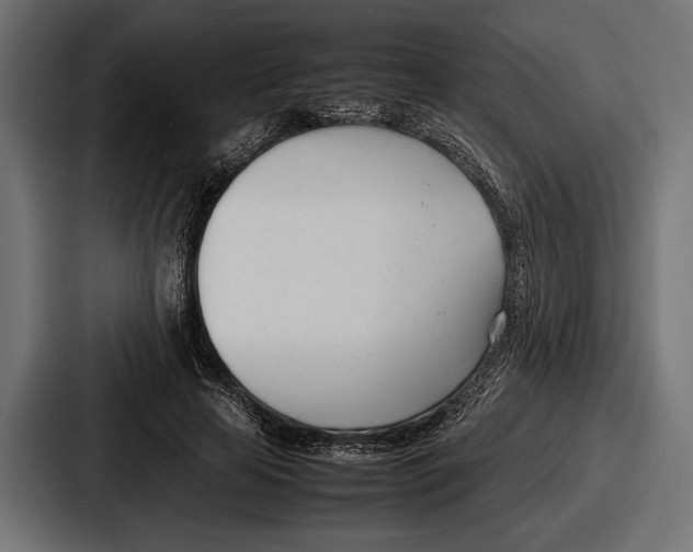 X0000086720641200705111556