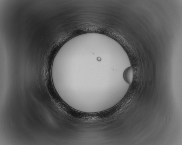 X0000086720642200705111556