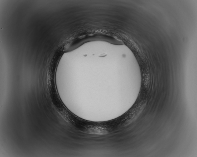 X0000086720643200705111556