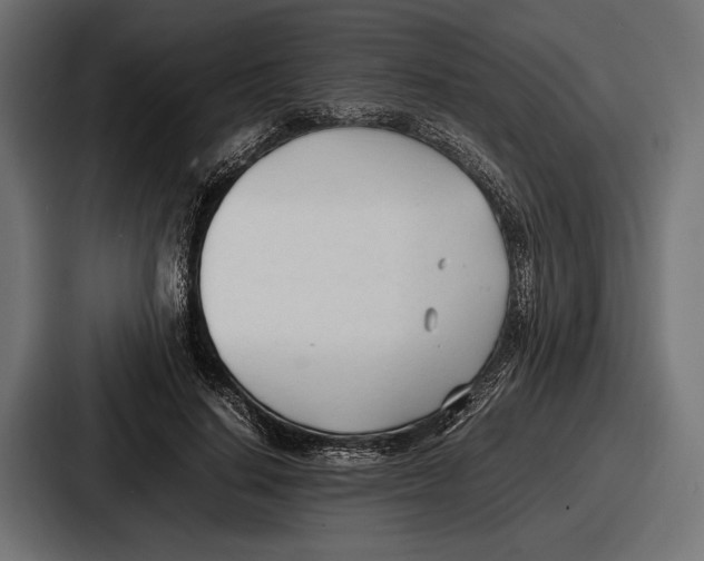 X0000086720644200705111556