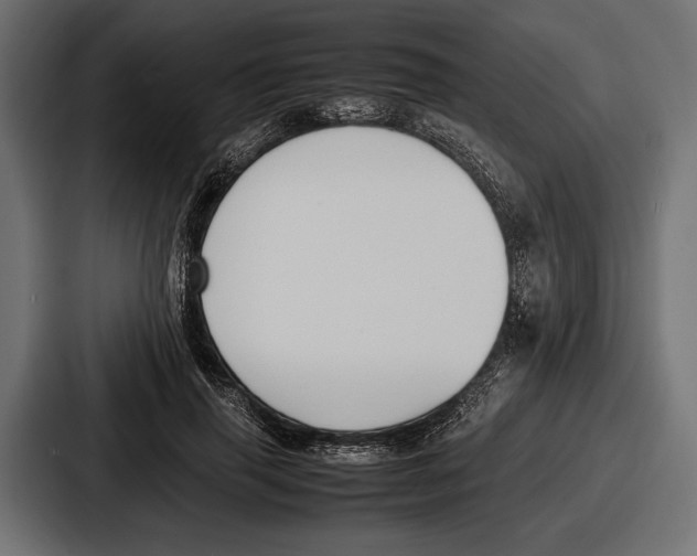 X0000086720645200705111556