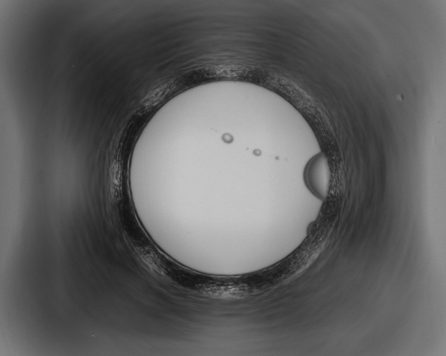 X0000086720646200705111556