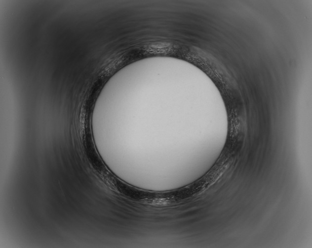 X0000086720647200705111556