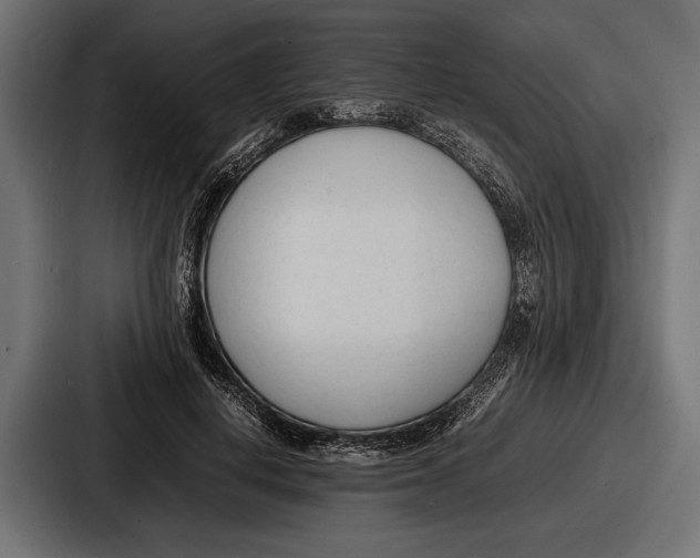 X0000086720648200705111556