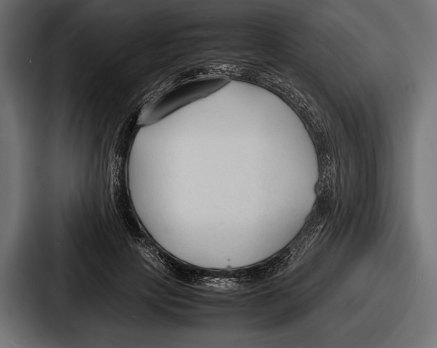 X0000086720649200705111556