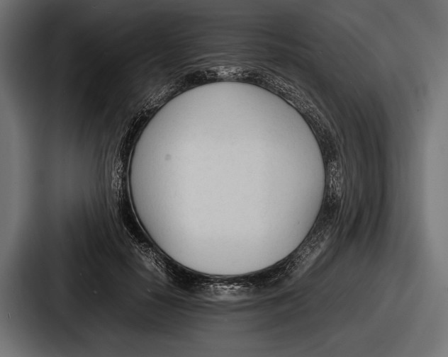 X0000086720650200705111556