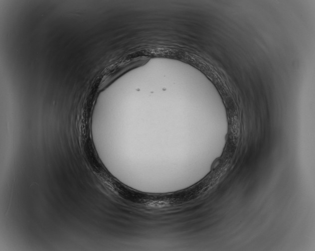 X0000086720653200705111556