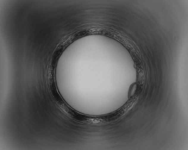 X0000086720654200705111556