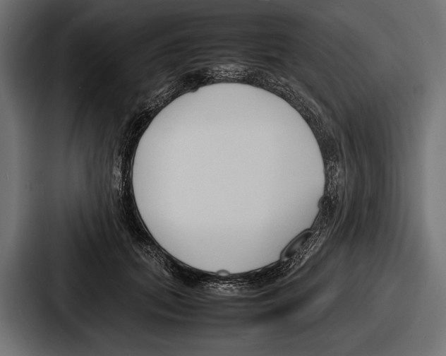 X0000086720655200705111556