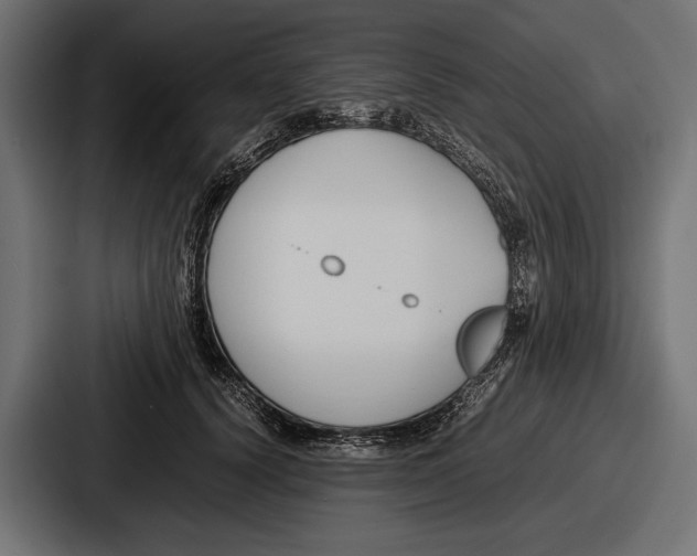 X0000086720656200705111556