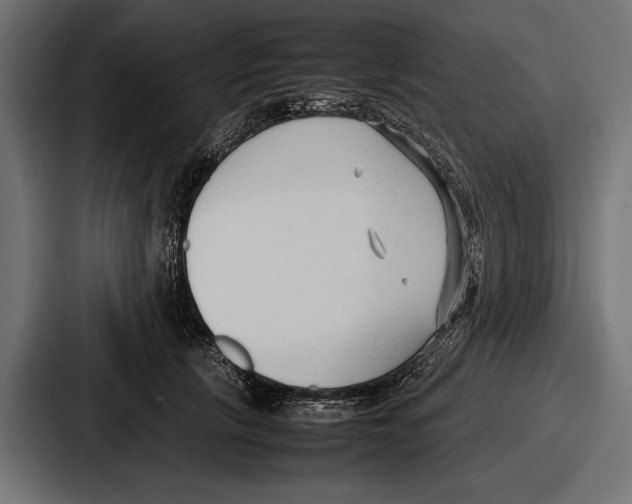 X0000086720657200705111556