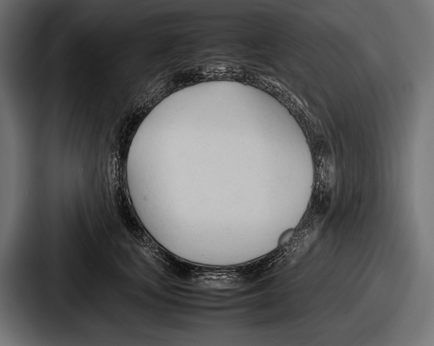 X0000086720659200705111556