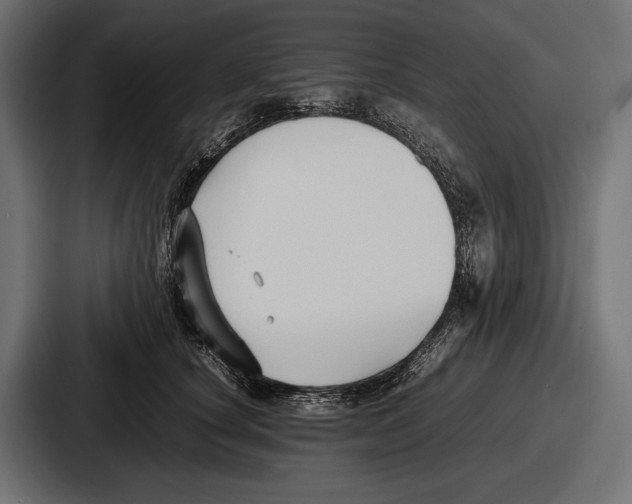 X0000086720660200705111556