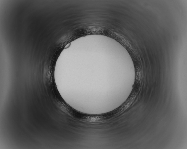 X0000086720662200705111556