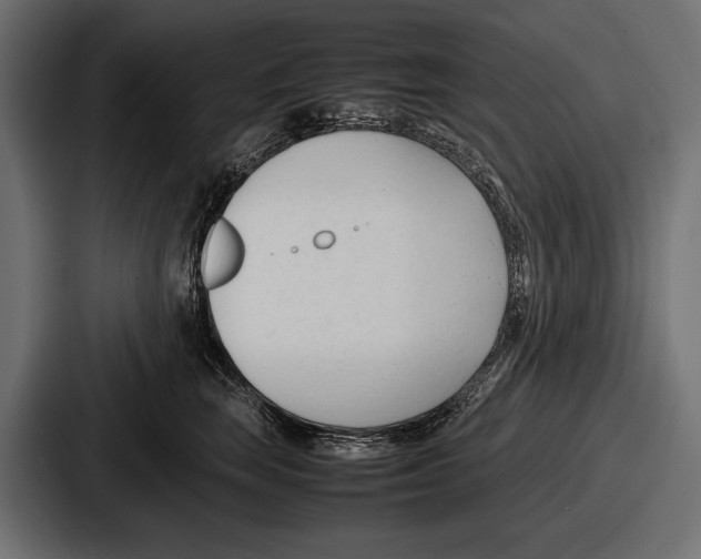 X0000086720663200705111556