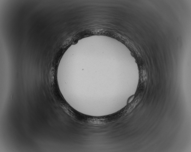 X0000086720664200705111556