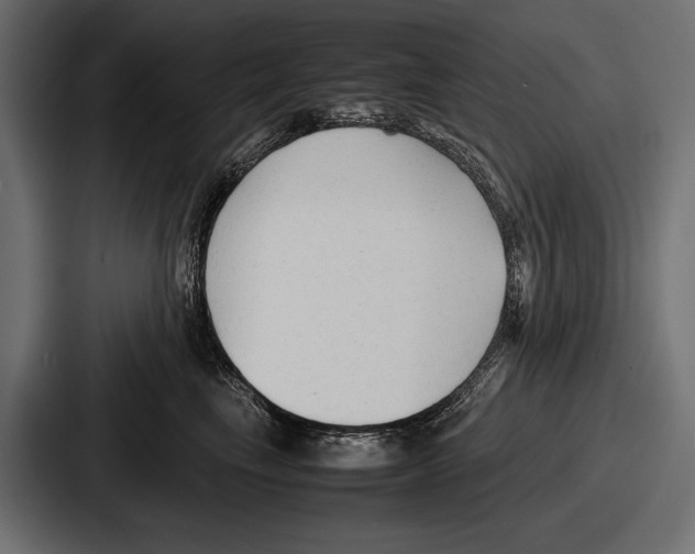 X0000086720665200705111556