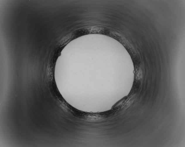 X0000086720666200705111556