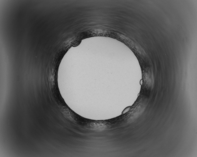 X0000086720668200705111556