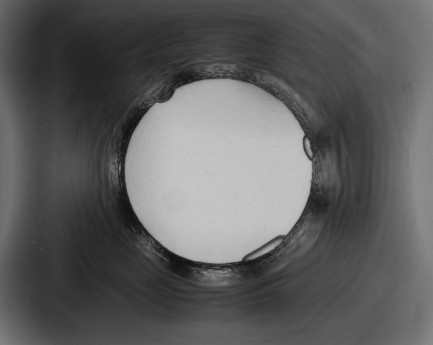 X0000086720669200705111556