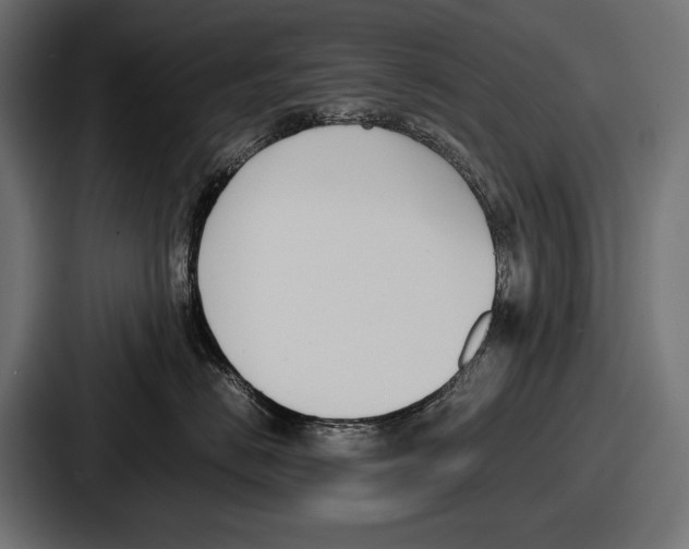 X0000086720670200705111556