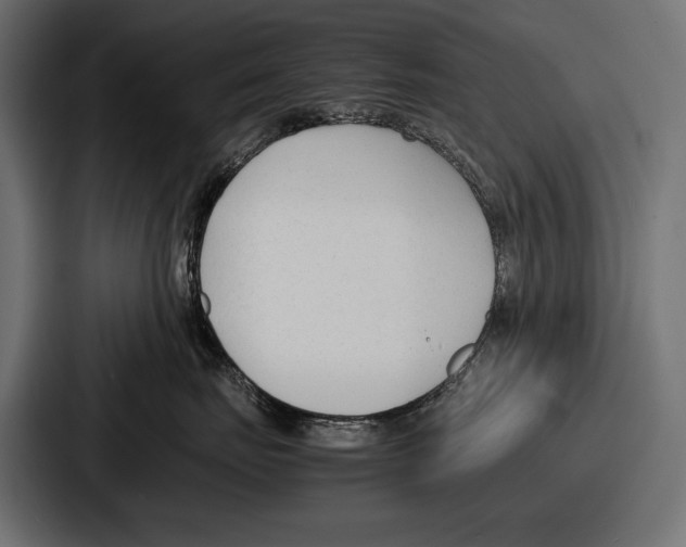 X0000086720671200705111556