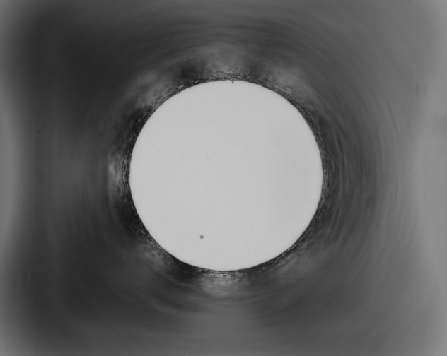 X0000086720672200705111556