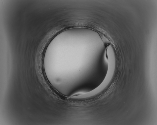 X0000086720673200705111555